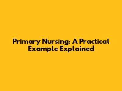Primary Nursing: A Practical Example Explained