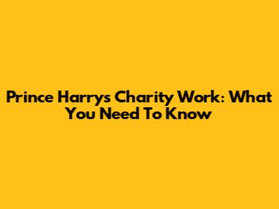 Prince Harry's Charity Work: What You Need To Know