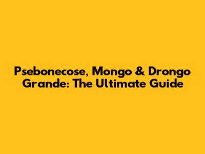 Psebonecose, Mongo & Drongo Grande: The Ultimate Guide