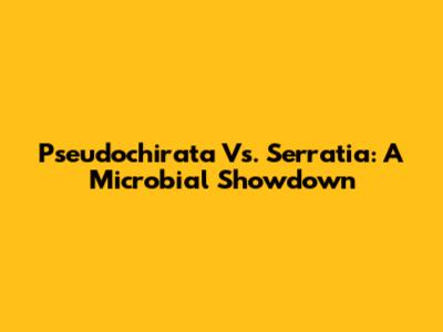 Pseudochirata Vs. Serratia: A Microbial Showdown
