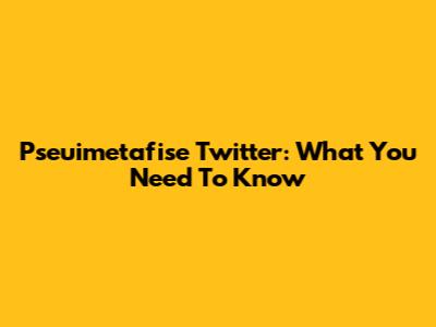 Pseuimetafise Twitter: What You Need To Know