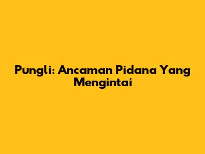 Pungli: Ancaman Pidana Yang Mengintai