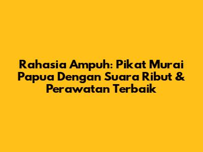 Rahasia Ampuh: Pikat Murai Papua Dengan Suara Ribut & Perawatan Terbaik
