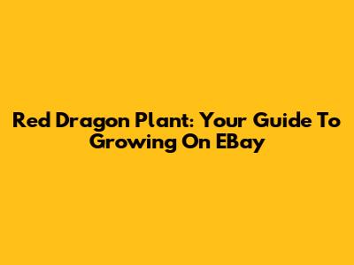 Red Dragon Plant: Your Guide To Growing On EBay
