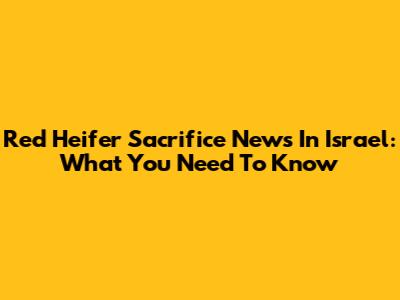Red Heifer Sacrifice News In Israel: What You Need To Know