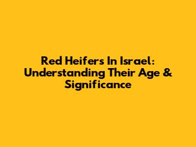 Red Heifers In Israel: Understanding Their Age & Significance