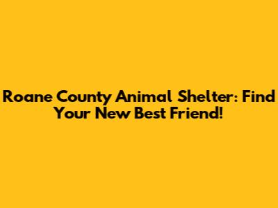 Roane County Animal Shelter: Find Your New Best Friend!