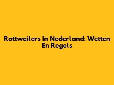 Rottweilers In Nederland: Wetten En Regels