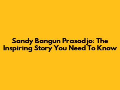 Sandy Bangun Prasodjo: The Inspiring Story You Need To Know