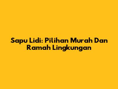 Sapu Lidi: Pilihan Murah Dan Ramah Lingkungan