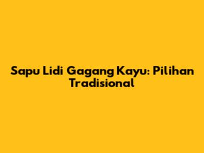 Sapu Lidi Gagang Kayu: Pilihan Tradisional