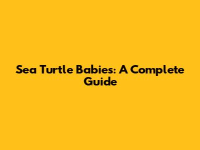 Sea Turtle Babies: A Complete Guide