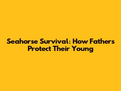 Seahorse Survival: How Fathers Protect Their Young