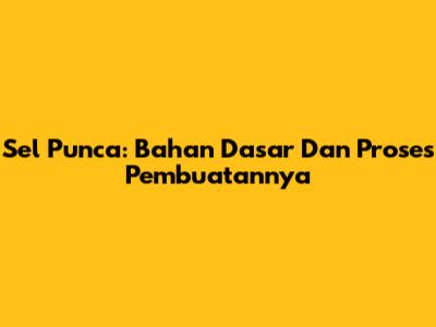 Sel Punca: Bahan Dasar Dan Proses Pembuatannya