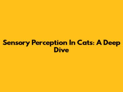 Sensory Perception In Cats: A Deep Dive