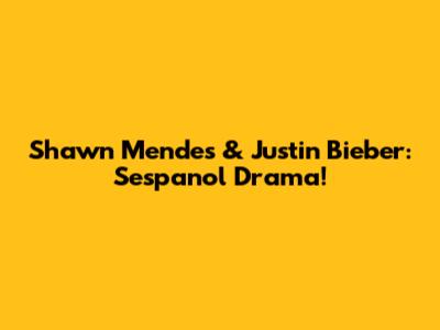 Shawn Mendes & Justin Bieber: Sespanol Drama!