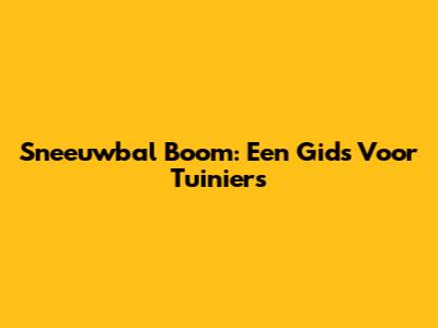 Sneeuwbal Boom: Een Gids Voor Tuiniers