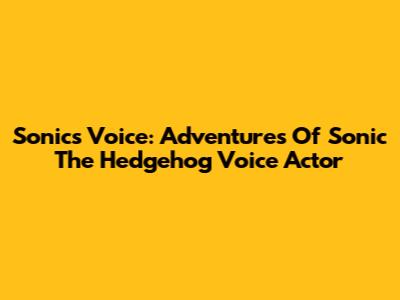 Sonic's Voice: Adventures Of Sonic The Hedgehog Voice Actor