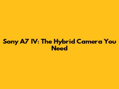 Sony A7 IV: The Hybrid Camera You Need