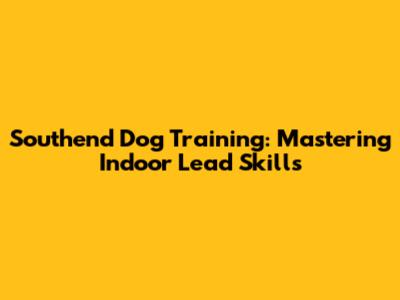 Southend Dog Training: Mastering Indoor Lead Skills