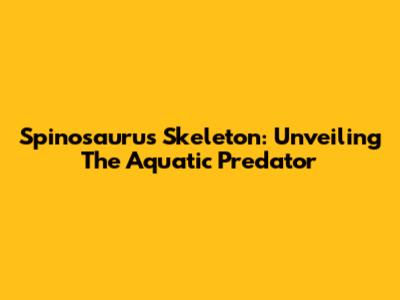 Spinosaurus Skeleton: Unveiling The Aquatic Predator