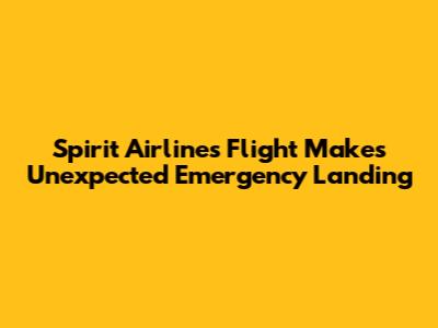 Spirit Airlines Flight Makes Unexpected Emergency Landing