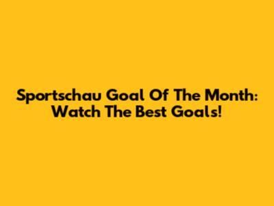 Sportschau Goal Of The Month: Watch The Best Goals!
