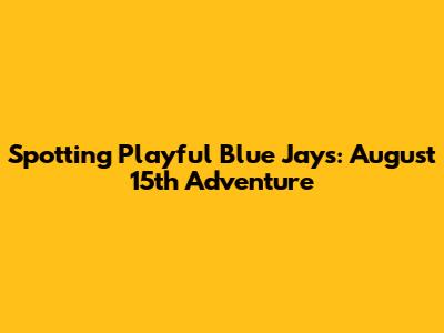 Spotting Playful Blue Jays: August 15th Adventure