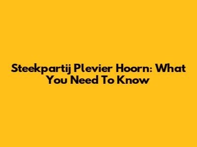 Steekpartij Plevier Hoorn: What You Need To Know