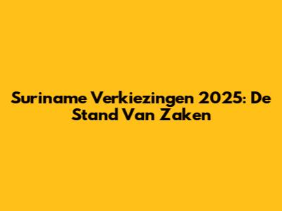 Suriname Verkiezingen 2025: De Stand Van Zaken