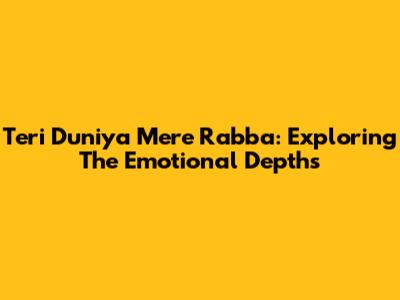 Teri Duniya Mere Rabba: Exploring The Emotional Depths
