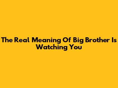 The Real Meaning Of 'Big Brother Is Watching You'