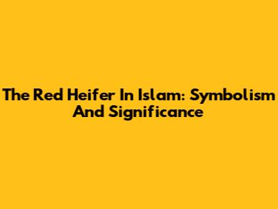 The Red Heifer In Islam: Symbolism And Significance
