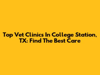 Top Vet Clinics In College Station, TX: Find The Best Care