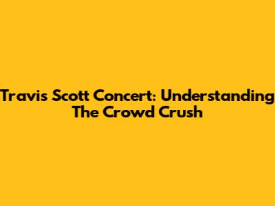 Travis Scott Concert: Understanding The Crowd Crush