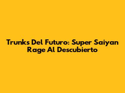 Trunks Del Futuro: Super Saiyan Rage Al Descubierto