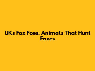 UK's Fox Foes: Animals That Hunt Foxes