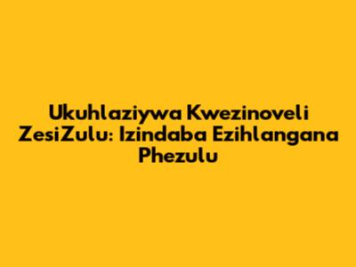 Ukuhlaziywa Kwezinoveli ZesiZulu: Izindaba Ezihlangana Phezulu