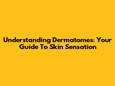 Understanding Dermatomes: Your Guide To Skin Sensation