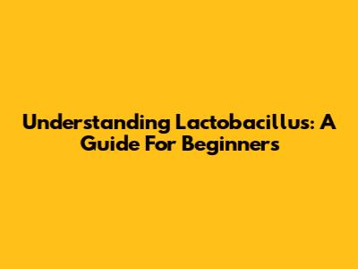 Understanding Lactobacillus: A Guide For Beginners