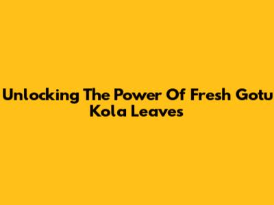 Unlocking The Power Of Fresh Gotu Kola Leaves