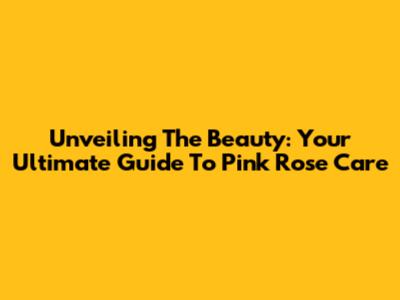 Unveiling The Beauty: Your Ultimate Guide To Pink Rose Care