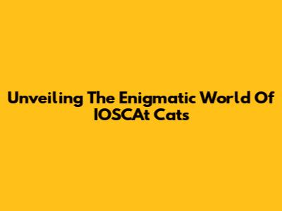 Unveiling The Enigmatic World Of IOSCAt Cats
