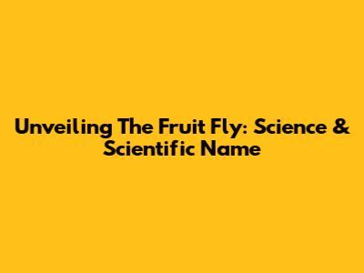 Unveiling The Fruit Fly: Science & Scientific Name
