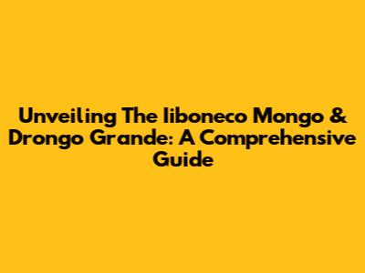 Unveiling The Iiboneco Mongo & Drongo Grande: A Comprehensive Guide