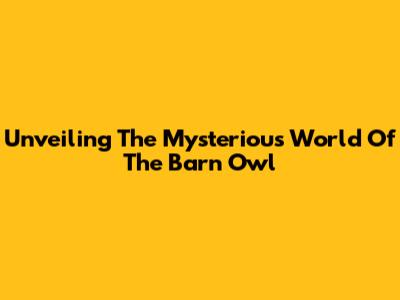 Unveiling The Mysterious World Of The Barn Owl