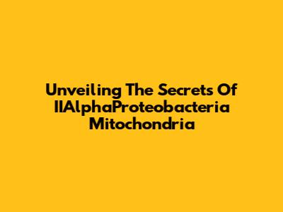 Unveiling The Secrets Of IIAlphaProteobacteria Mitochondria