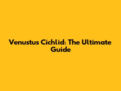 Venustus Cichlid: The Ultimate Guide