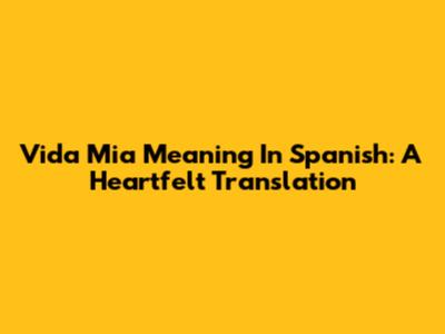 Vida Mia Meaning In Spanish: A Heartfelt Translation