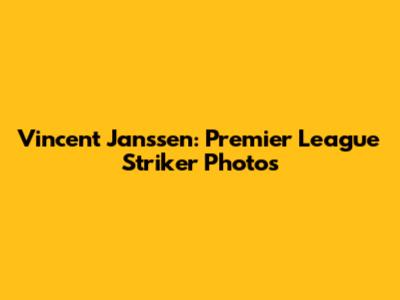 Vincent Janssen: Premier League Striker Photos